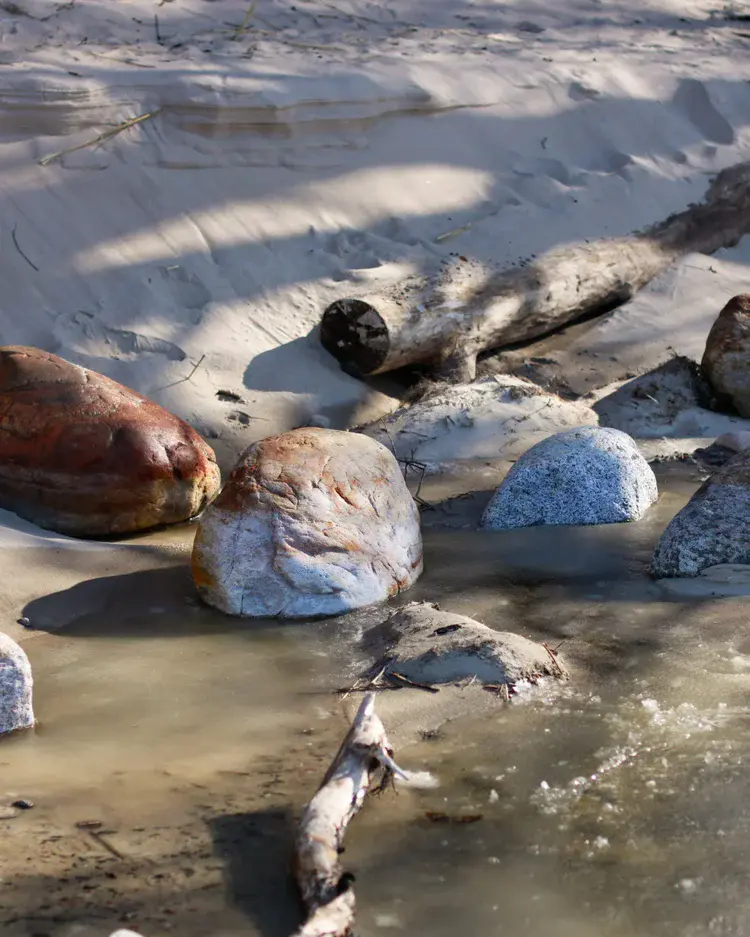 Handmade ceramic pieces displayed on studio shelves