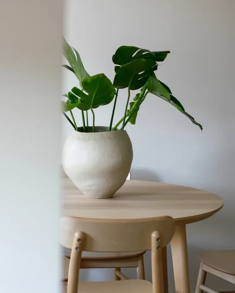 White ceramic vase with plant on wooden table